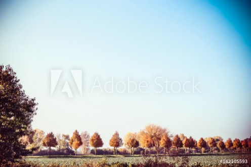 Picture of Beautiful autumn country landscape with trees field and blue sky Fall outdoor nature background